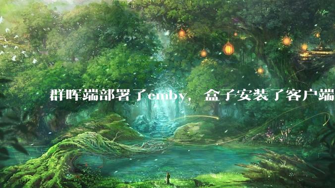 群晖端部署了emby，盒子安装了客户端播放蓝光电影为什么不能显示影片自带字幕？